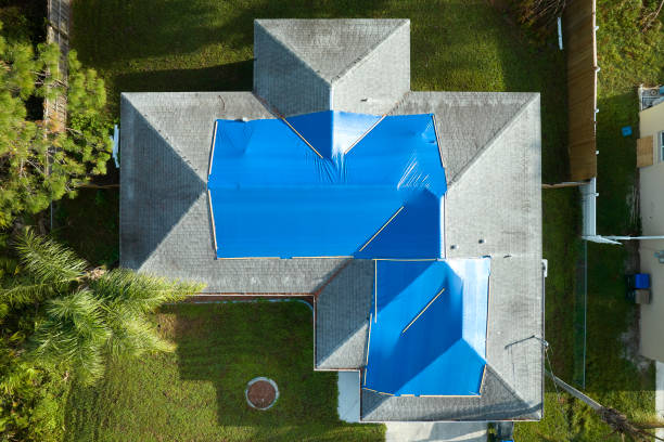 Best Hot Roofs  in Blaine, TN