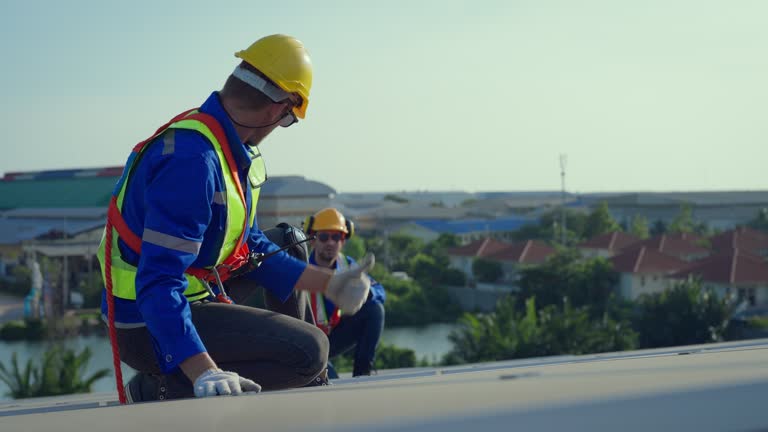 Best Asphalt Shingle Roofing  in Blaine, TN