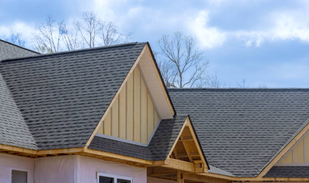 Best Roof Maintenance and Cleaning  in Blaine, TN