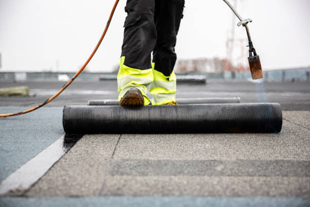 Best Chimney Flashing Repair  in Blaine, TN