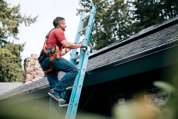 Best Asphalt Shingles Roofing  in Blaine, TN